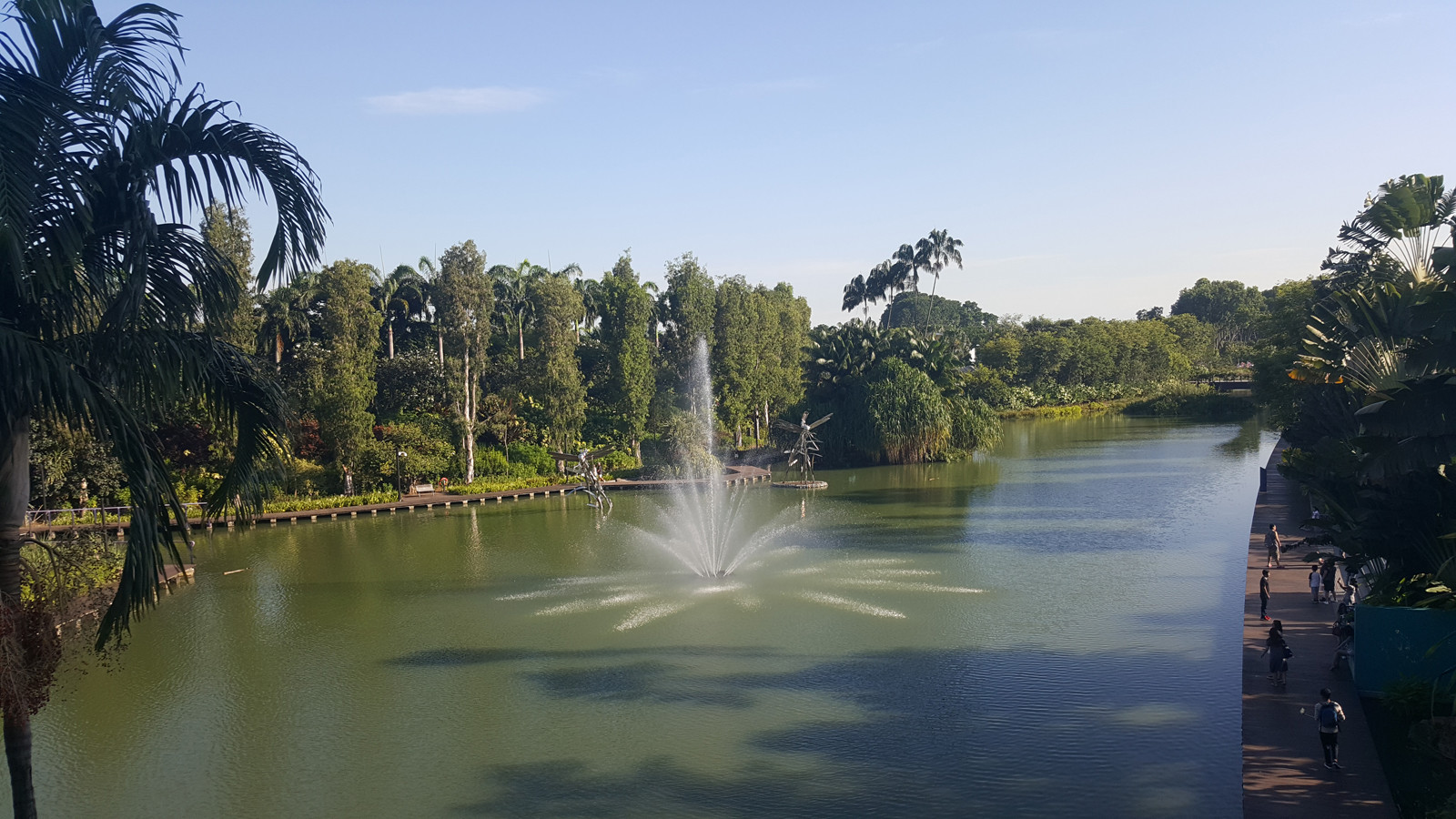 Парк Gardens by the Bay в Сингапуре. Фото 2 – фотографии Сингапура
