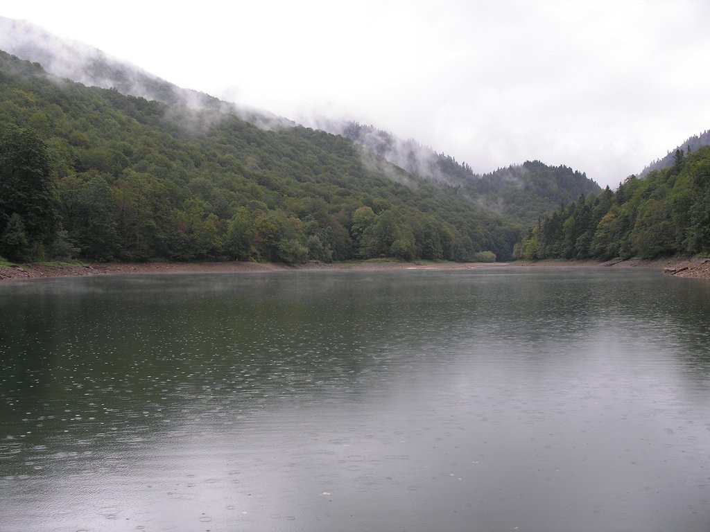 Озеро в Национальном парке, Черногория. Фото 26 – фотографии Черногории