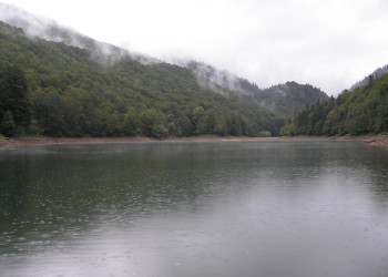 Озеро в Национальном парке, Черногория. Фото 26 – фотографии Черногории