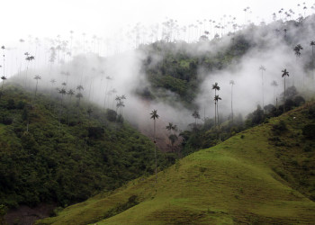Долина Кокора. Фото 7 – фотографии Колумбии