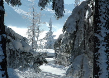Пейзаж в Ла-Розиере, Франция – фотографии Франции