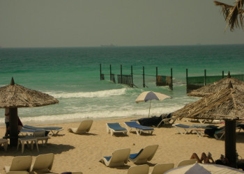 Шарджа, ОАЭ, фото № 61245 – фотографии ОАЭ