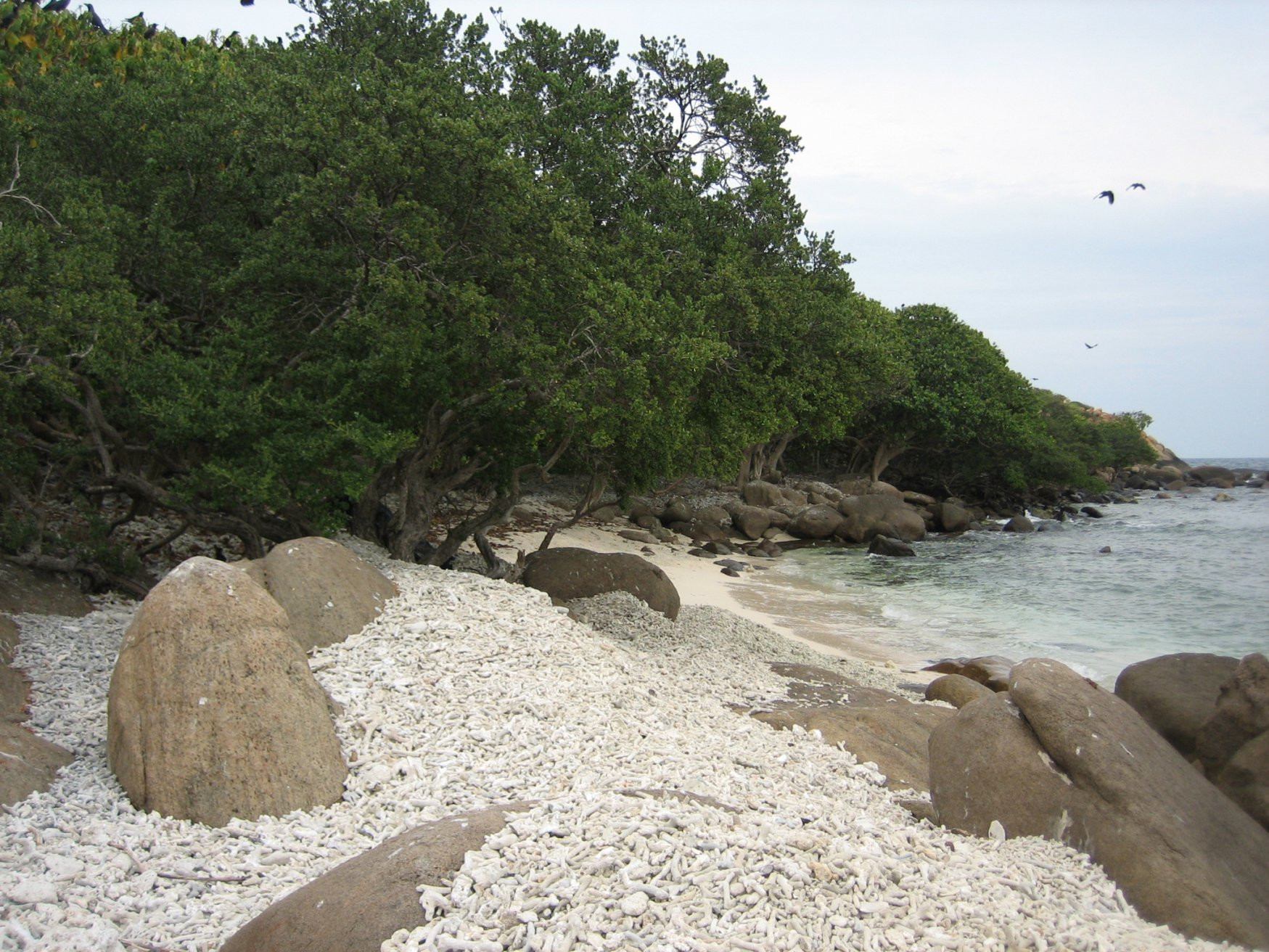 Тринкомали, Шри-Ланка, фото № 52393 – фотографии Шри-Ланки