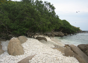 Тринкомали, Шри-Ланка, фото № 52393 – фотографии Шри-Ланки