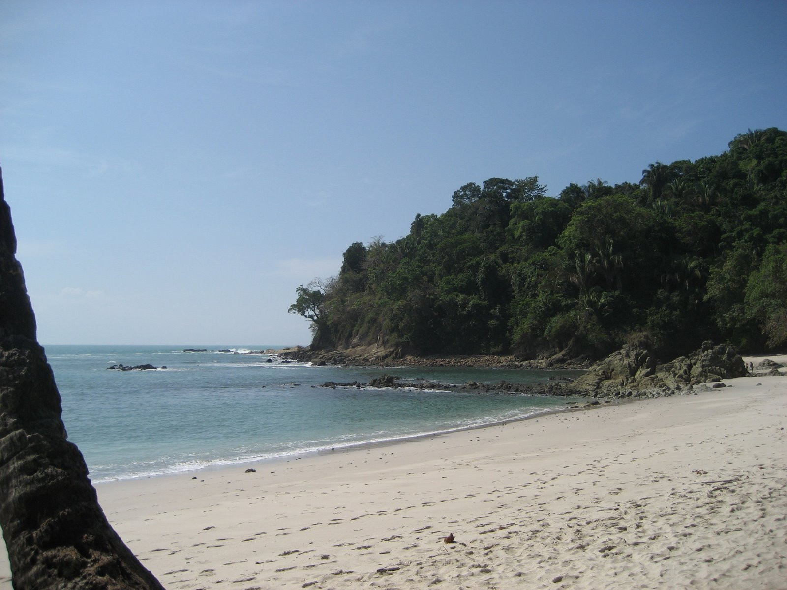 Мануэль Антонио Национальный Парк, Пунтаренас провинция, Коста-Рика, фото № 40690 – фотографии Коста-Рики