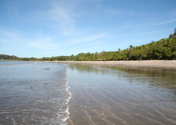 Самара, Гуанакасте провинция, Коста-Рика, фото № 39905 – фотографии Коста-Рики