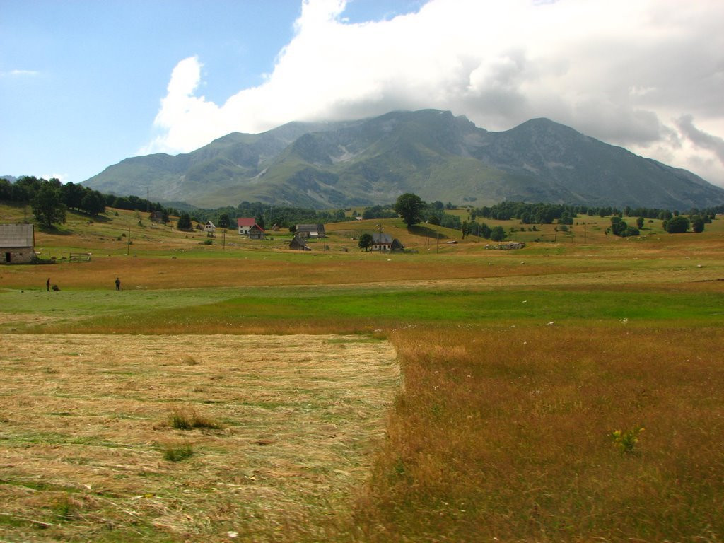 Поле в Дурмитор, Черногория – фотографии Черногории