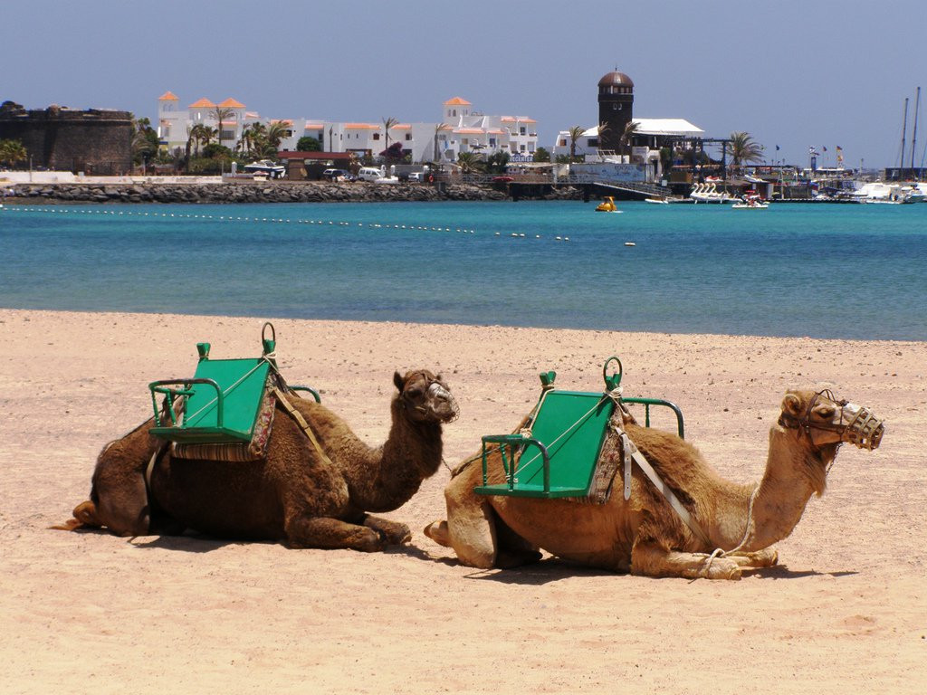 Калета-де-Фустес, Фуэртевентура остров, Канарские острова, фото № 34101 – фотографии Канарских островов