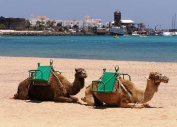 Калета-де-Фустес, Фуэртевентура остров, Канарские острова, фото № 34101 – фотографии Канарских островов