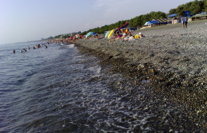 Кобулети, Грузия, фото № 73483 – фотографии Грузии