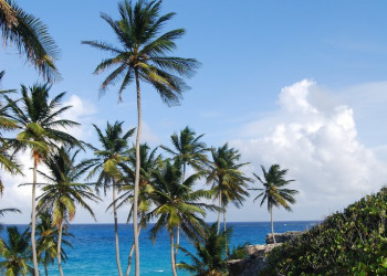 Пляж на Южном побережье, Барбадос. Фото 9 – фотографии Барбадоса