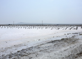 Знаменитое солёное озеро Баскунчак – фотографии России