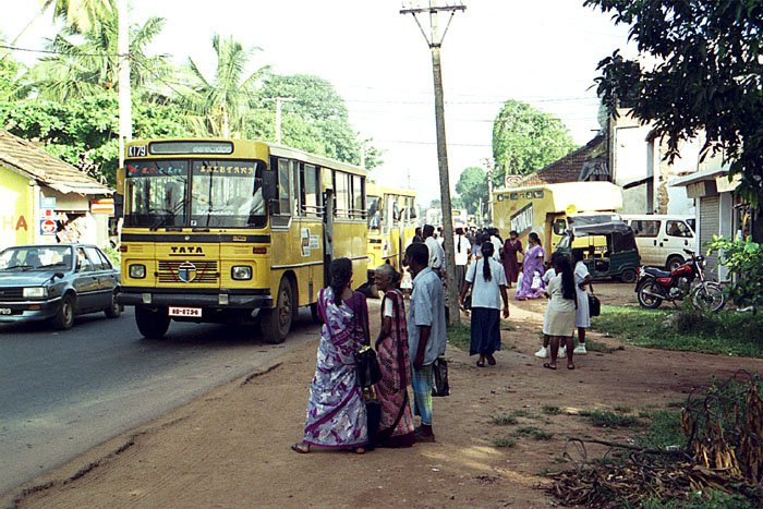 Калутара, Шри-Ланка, фото № 51229 – фотографии Шри-Ланки