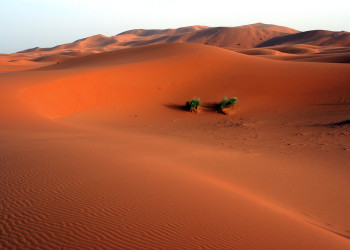 Марокко, фото № 55 – фотографии Марокко