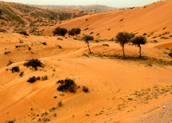 Рас-аль-Хайма, ОАЭ, фото № 61055 – фотографии ОАЭ