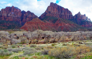 Национальный парк Зайон (Zion National Park) в США. Фото 2 – фотографии США