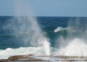 Little Bay, North Coast, Barbados – фотографии Барбадоса