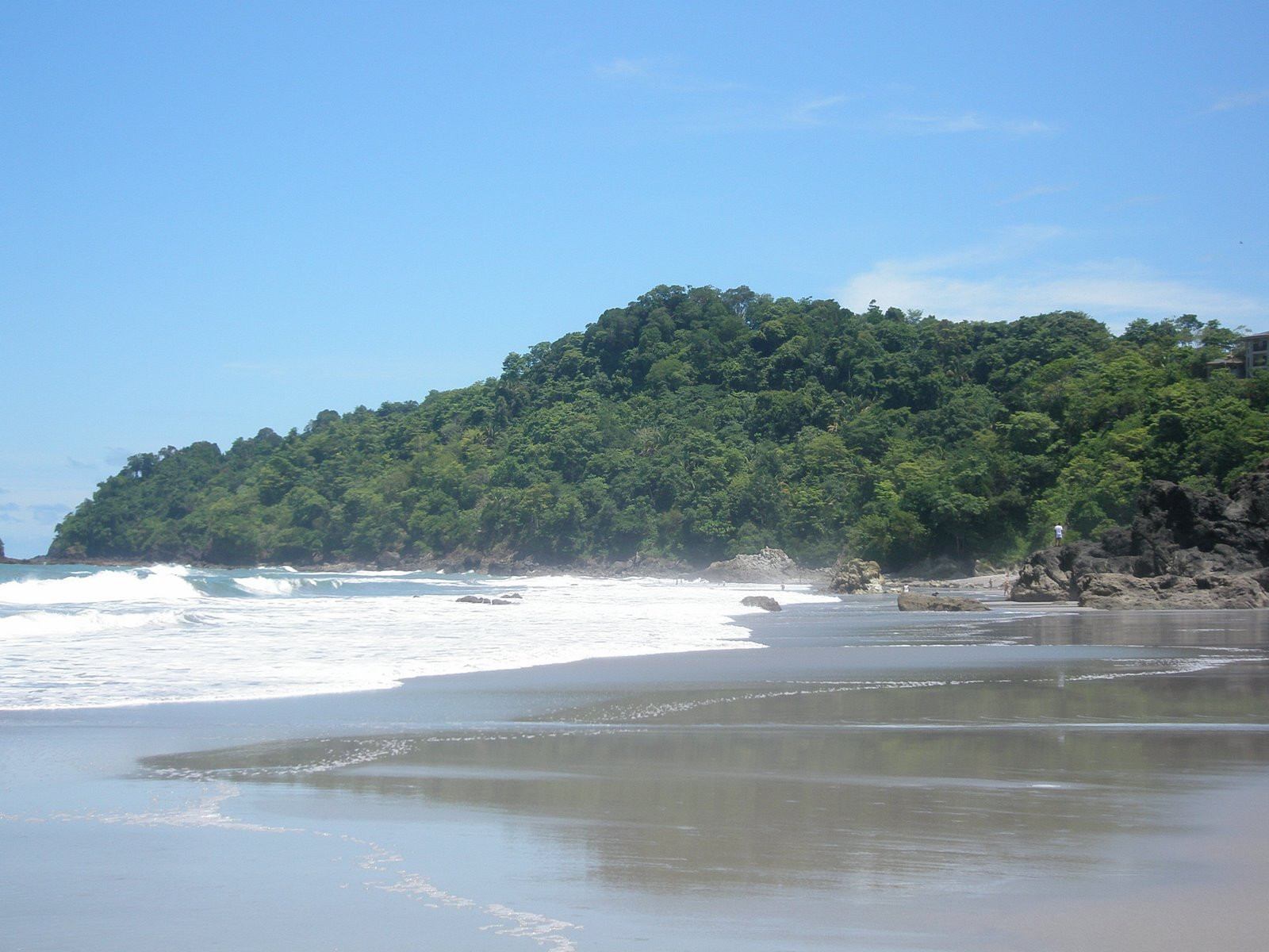 Мануэль Антонио, Пунтаренас провинция, Коста-Рика, фото № 40633 – фотографии Коста-Рики