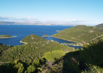 Берега на острове Млет, Хорватия. Фото 10 – фотографии Хорватии