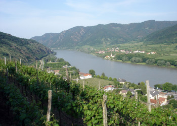 Виноградники Шпица – фотографии Австрии