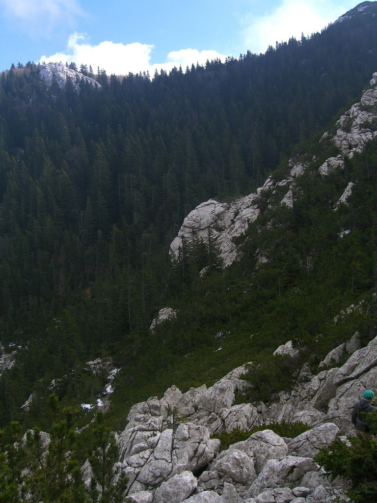 Природа в Национальном парке, Хорватия. Фото 9 – фотографии Хорватии