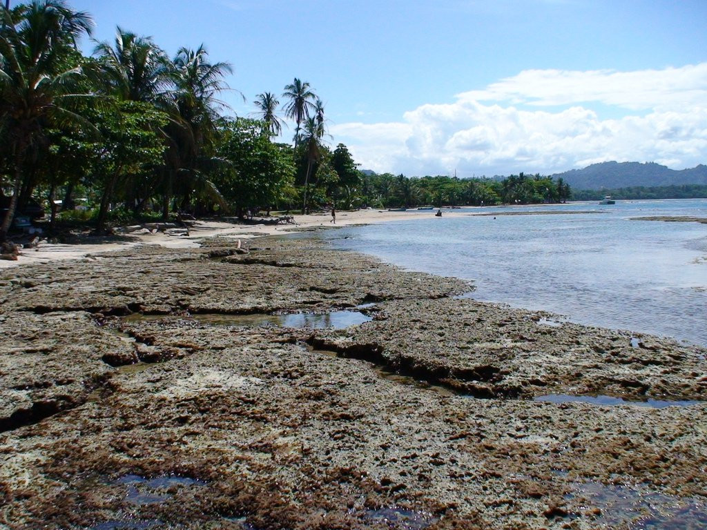 Пуэрто Вьехо, Лимон провинция, Коста-Рика, фото № 40194 – фотографии Коста-Рики