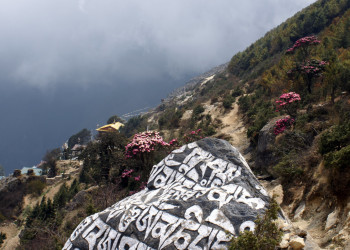 Намче-Базар, Непал, фото № 79281 – фотографии Непала