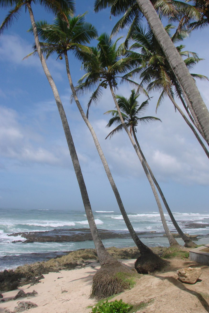 Коггала, Шри-Ланка, фото № 51552 – фотографии Шри-Ланки