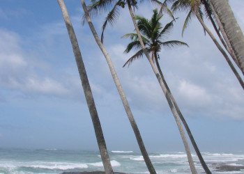 Коггала, Шри-Ланка, фото № 51552 – фотографии Шри-Ланки