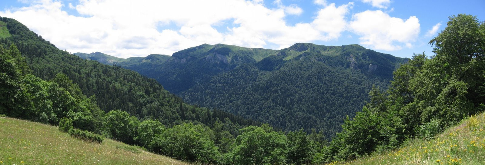 Природа Национального парка, Черногория. Фото 3 – фотографии Черногории