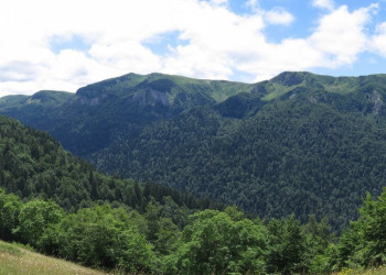 Природа Национального парка, Черногория. Фото 3 – фотографии Черногории