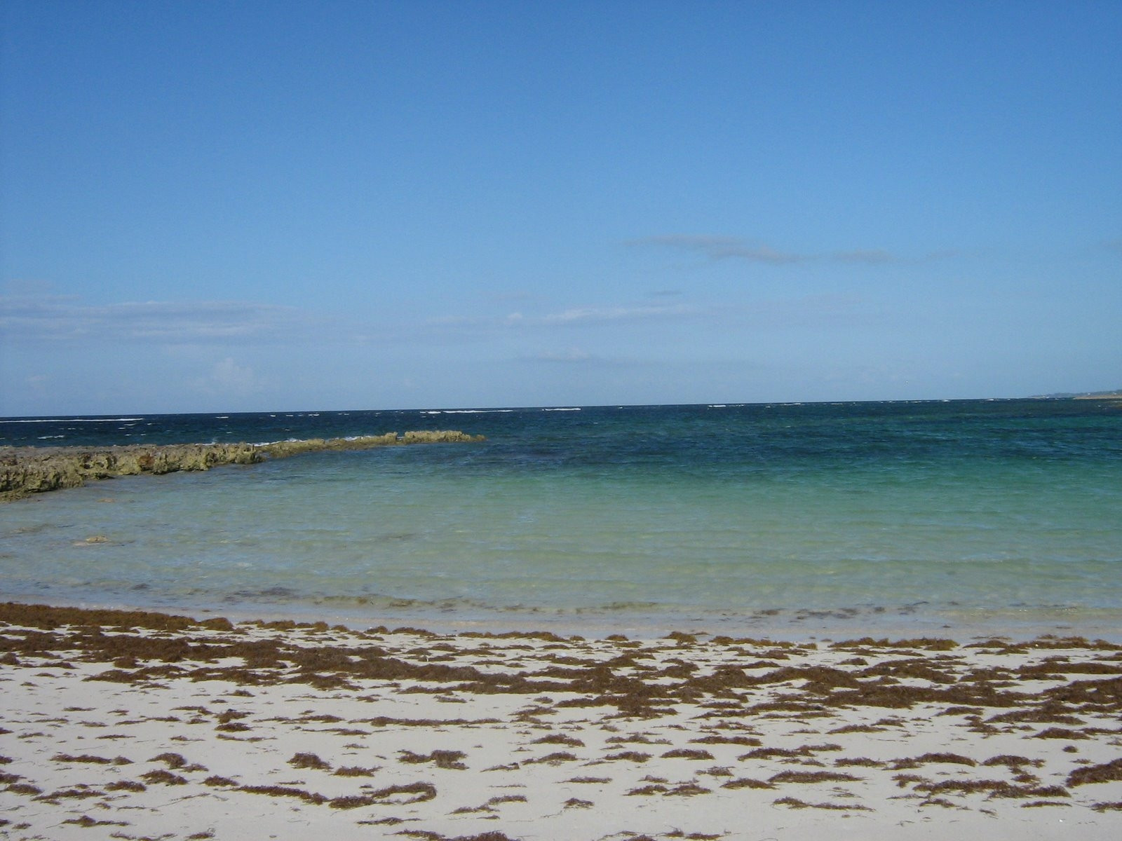 Берег на острове Эльютера, Багамские острова. Фото 16 – фотографии Багамских островов