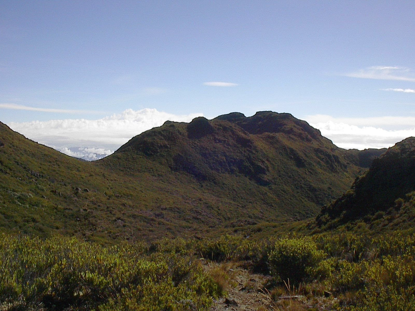 Чиррипо Национальный Парк, Сан Хосе провинция, Коста-Рика, фото № 41247 – фотографии Коста-Рики