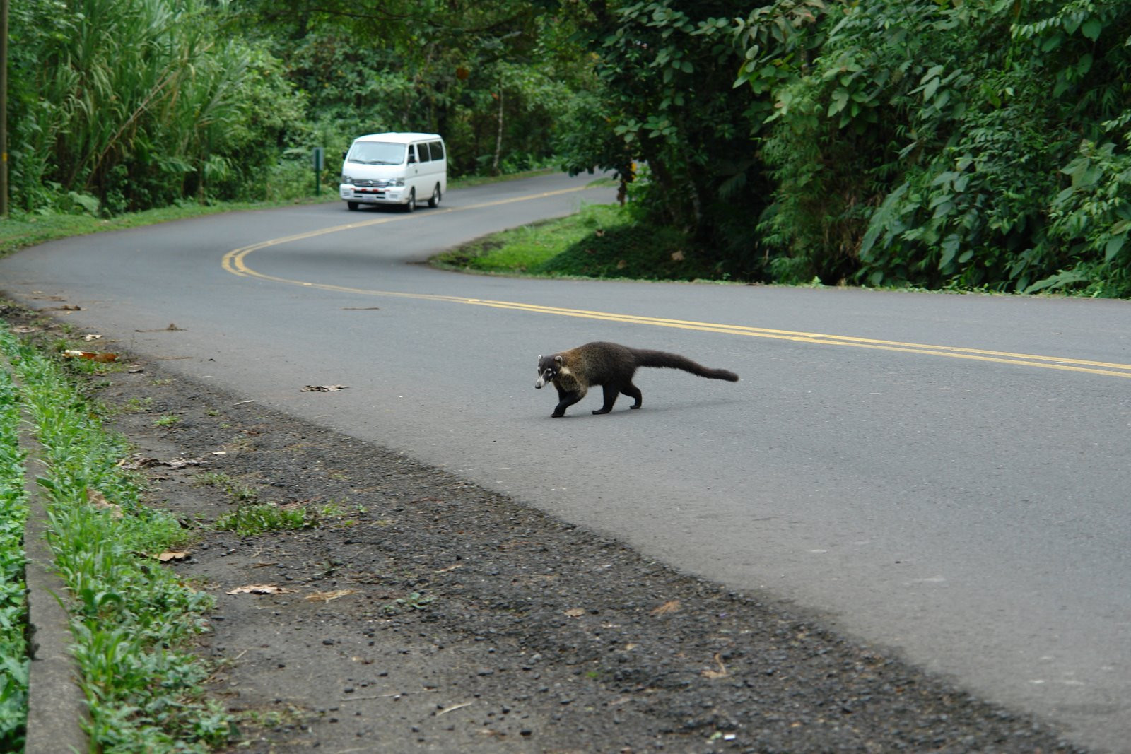 Коста-Рика, фото № 771 – фотографии Коста-Рики