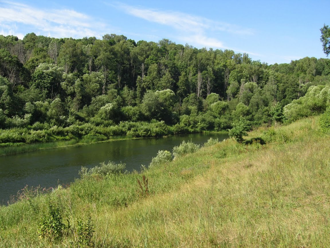 Природа Национального парка, Россия – фотографии России