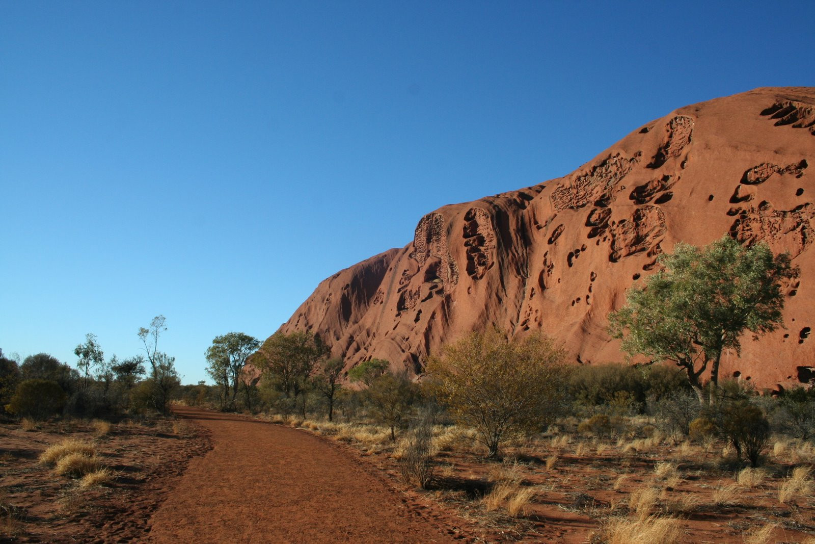 Саванна в Австралии. Фото 3 – фотографии Австралии