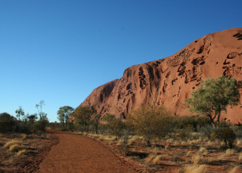 Саванна в Австралии. Фото 3 – фотографии Австралии