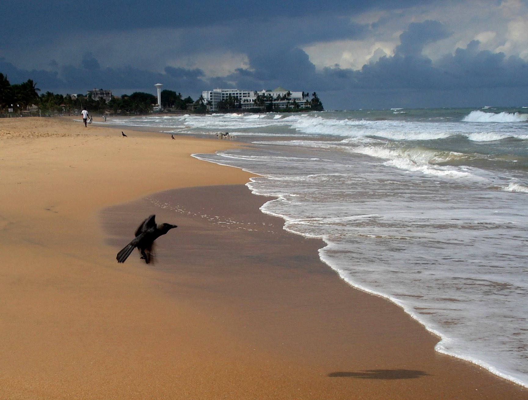 Шри-Ланка, фото № 1122 – фотографии Шри-Ланки