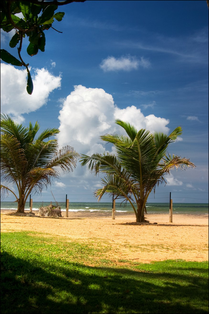 Калутара, Шри-Ланка, фото № 51199 – фотографии Шри-Ланки
