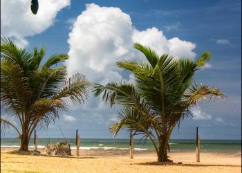 Калутара, Шри-Ланка, фото № 51199 – фотографии Шри-Ланки