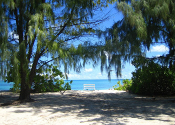 Пляж на острове Бёрд – фотографии Сейшельских островов