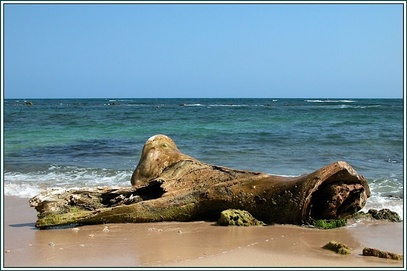 Хуан-Долио, Доминикана, фото № 30760 – фотографии Доминиканы