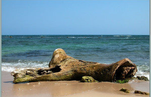 Хуан-Долио, Доминикана, фото № 30760 – фотографии Доминиканы