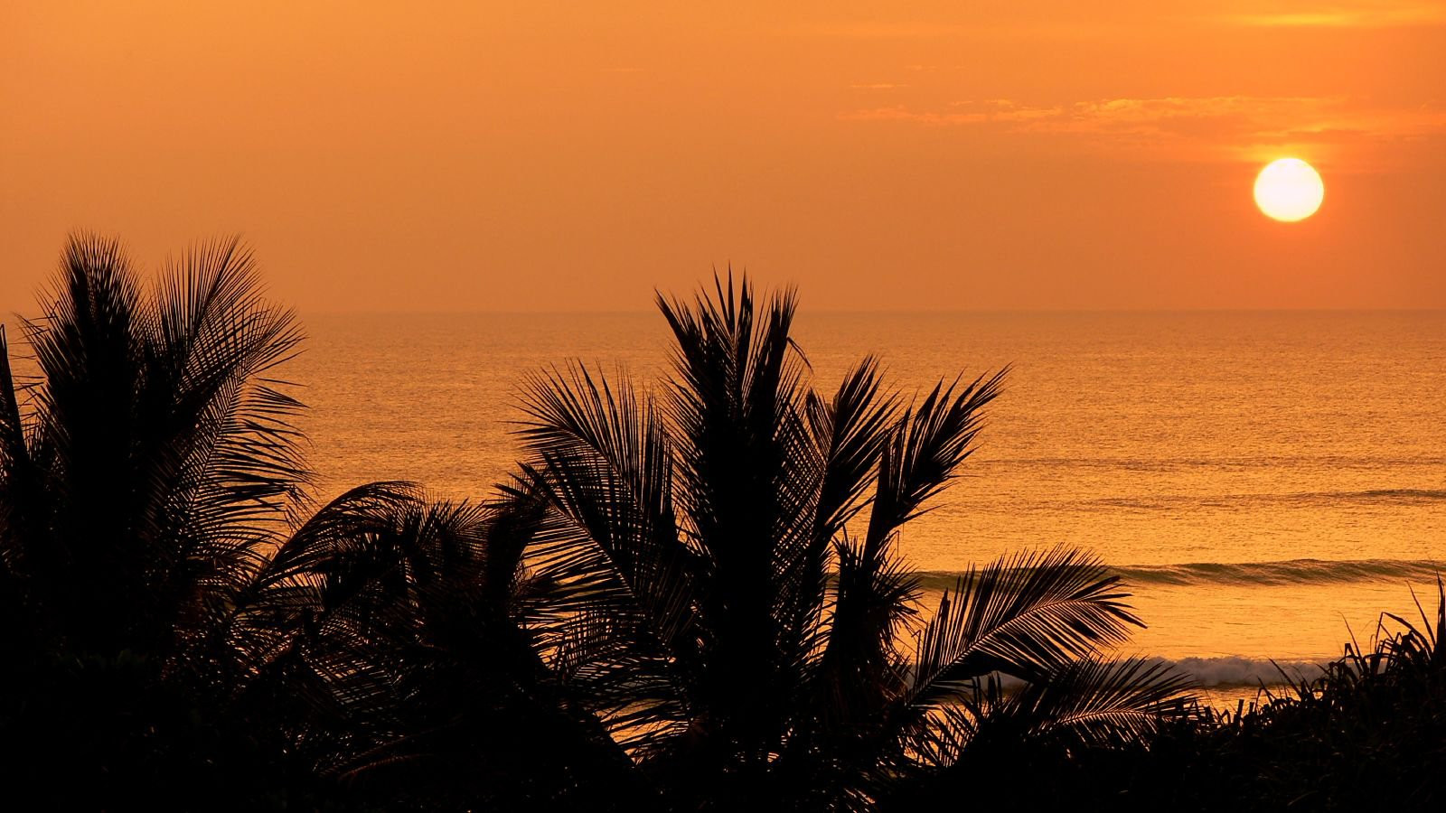 Ваддува, Шри-Ланка, фото № 50803 – фотографии Шри-Ланки