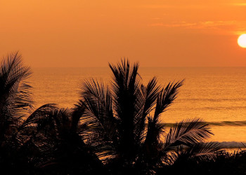 Ваддува, Шри-Ланка, фото № 50803 – фотографии Шри-Ланки