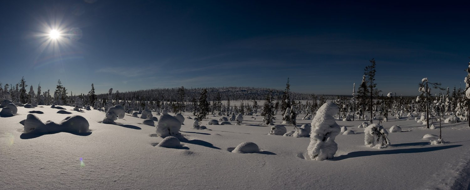 Салла, Финляндия, фото № 75091 – фотографии Финляндии