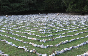 Природа в Бели, Хорватия – фотографии Хорватии