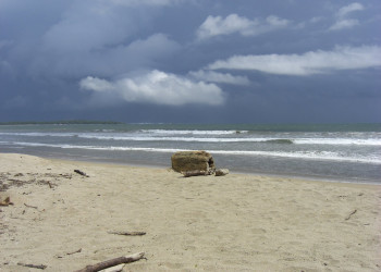 Плайя Гранде, Гуанакасте провинция, Коста-Рика, фото № 39469 – фотографии Коста-Рики