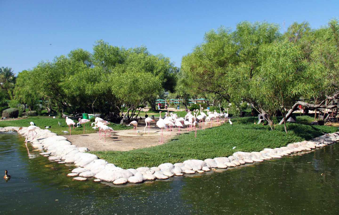 Аль-Арин (Al Areen) – парк дикой природы в Бахрейне. Фото 1 – фотографии Бахрейна