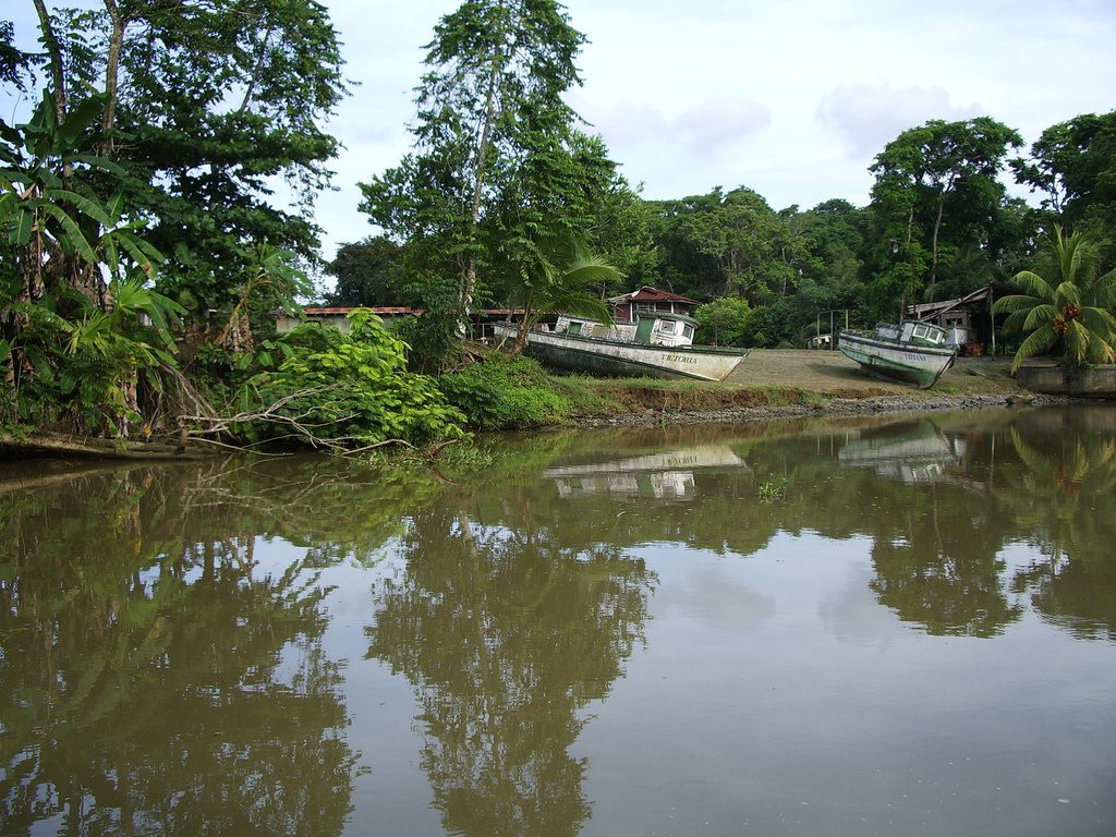 Тортугеро Национальный парк, Лимон провинция, Коста-Рика, фото № 40342 – фотографии Коста-Рики